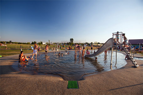 Koupaliště biotop Brno-jih